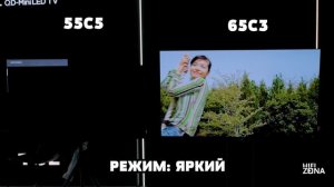 ⚡LG 55C5 - Хит в 2025? Первый в стране обзор и сравнение с LG 55