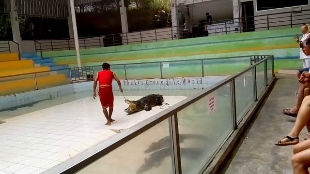 Танец с крокодилом и смертельный номер смотреть онлайн