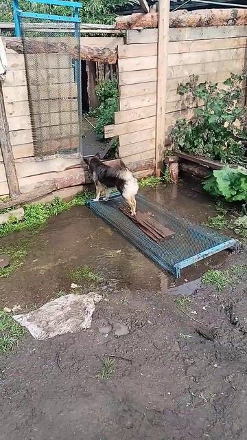 есть желание помочь и помогает даже так. это правда зд? смотреть онлайн