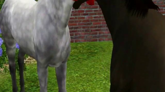 Black Beauty || Черный Красавец смотреть онлайн