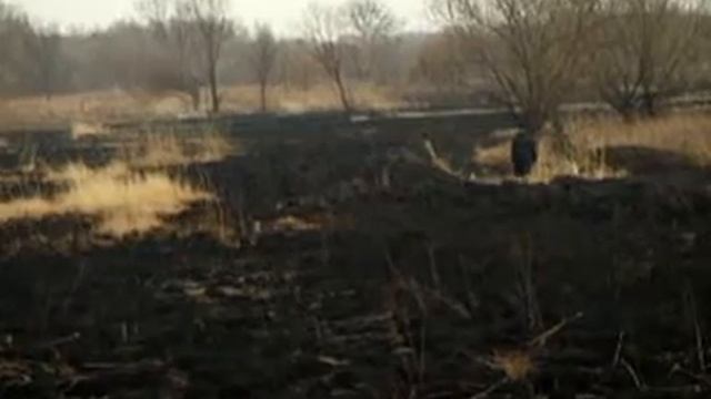 Пробная версия фильма "Просто это - небо" смотреть онлайн