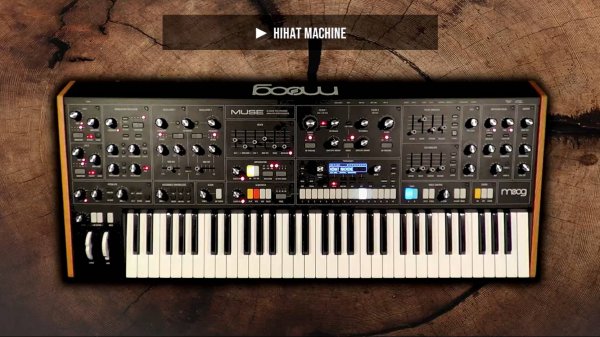 Moog Muse: Musical Sounds