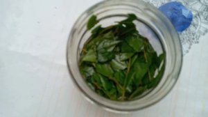 Масло Лаврового Листа!!!                  Чудо Средства Для Кр?