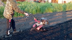 Мотоблок Угра. Подготовка почвы под грядки.
