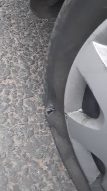 Новые бордюры алматы смотреть онлайн