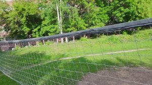 Dji Neo ручной полет FPV