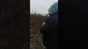 Петарда из фольги и крота