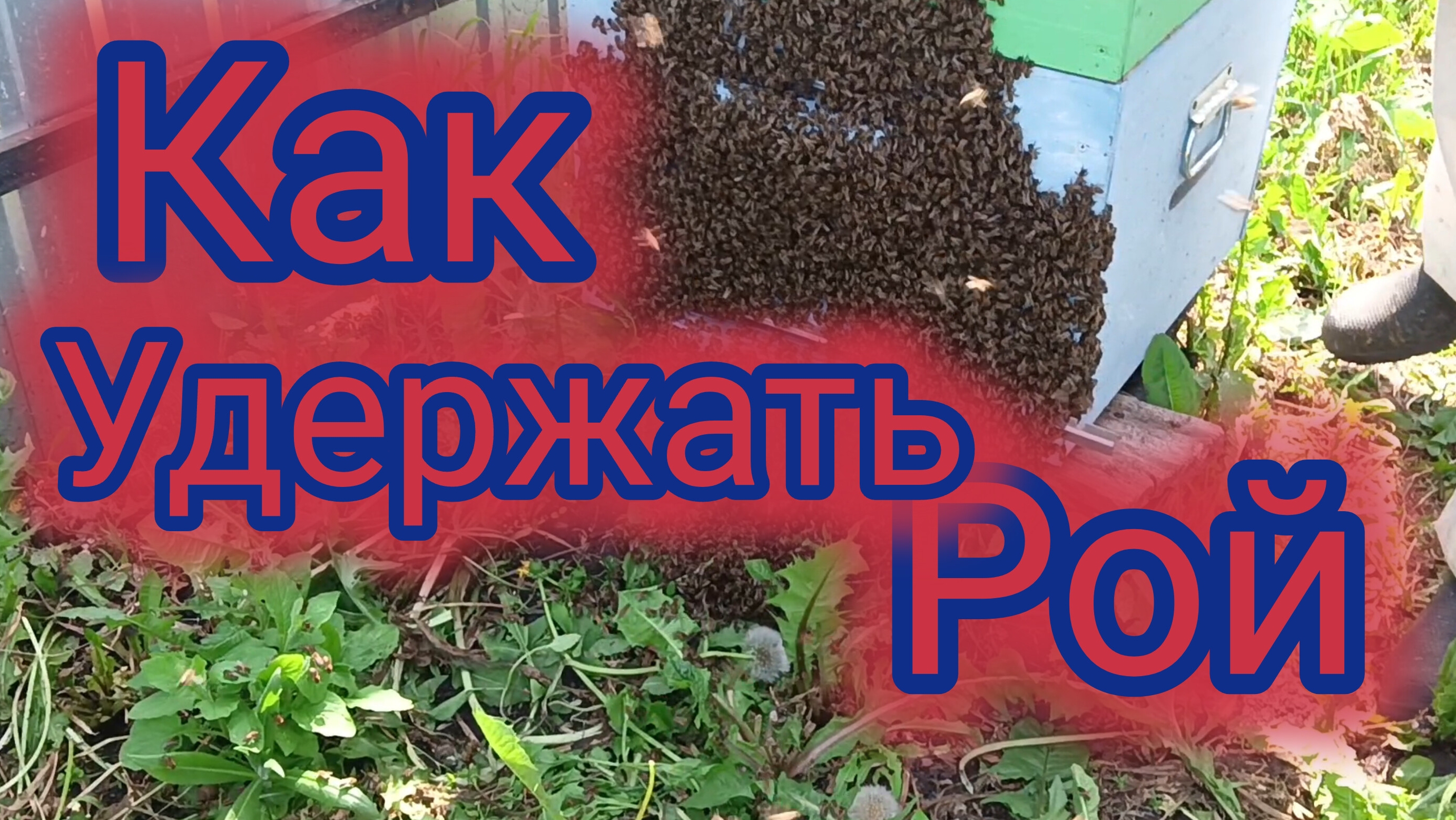 Как удержать рой 🐝 смотреть онлайн