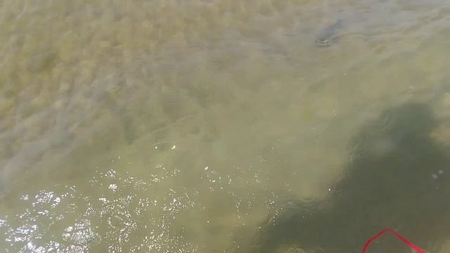 Пляж 🏖 "ДЮНА" Витязево в Анапе. СТОИТ ЛИ СЮДА ЕХАТЬ? смотреть онлайн
