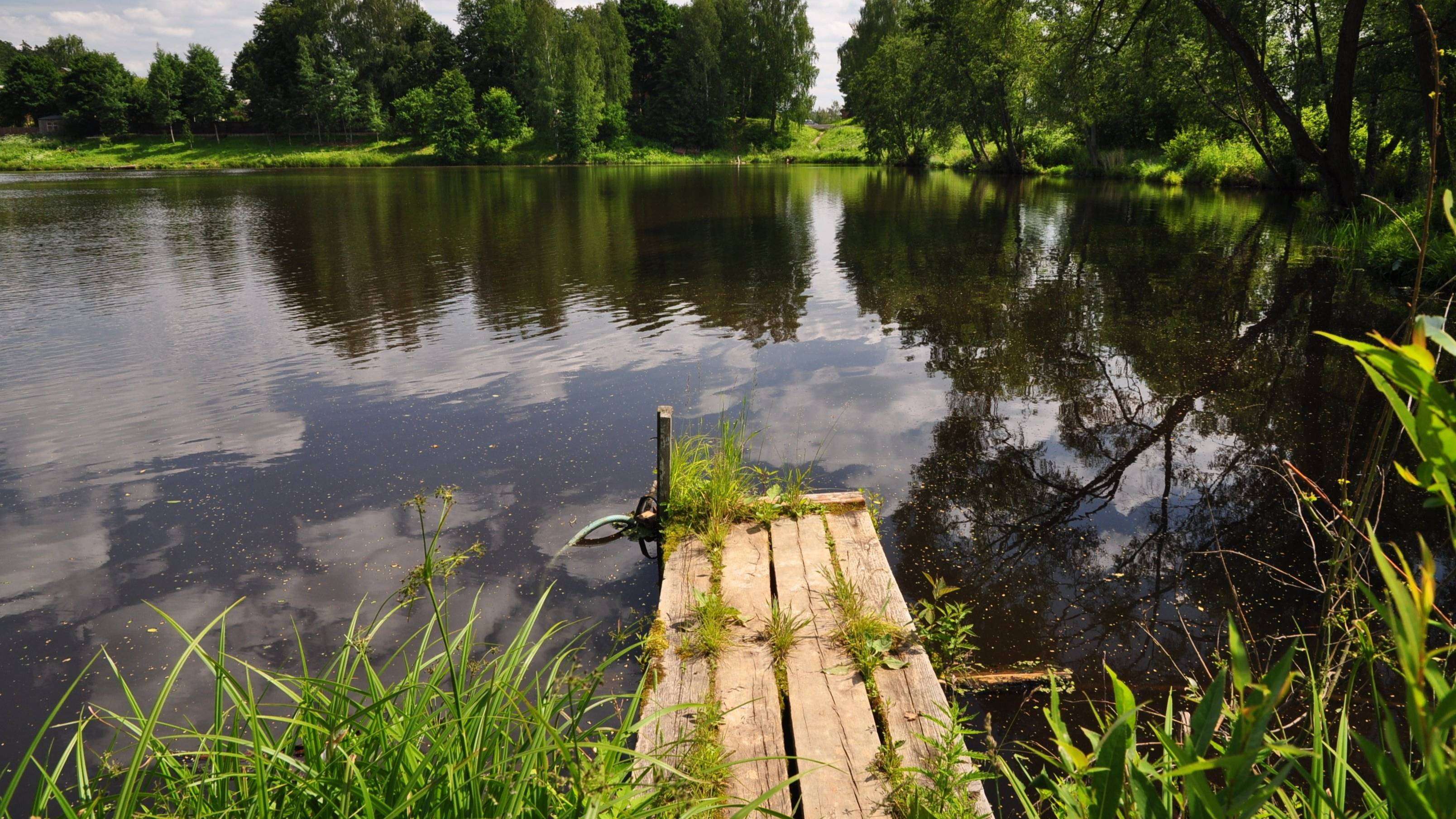 Поехали на рыбалку / рыбалка на реке смотреть онлайн