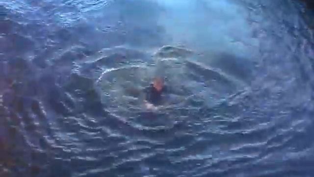 Шипа берет новые высоты! смотреть онлайн
