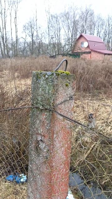 определение стороны света в городе смотреть онлайн