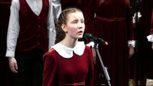 Дикая собака Динго. БДХ, 2024.