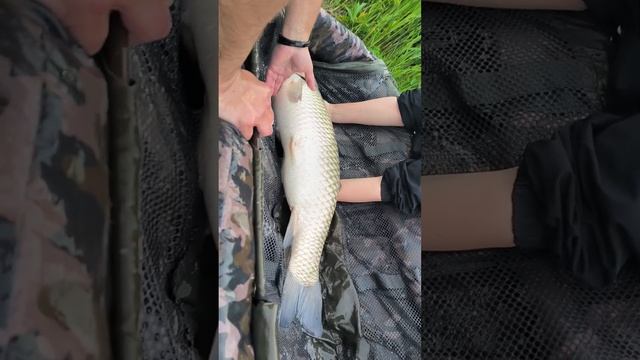 #дети #рыбалка #амур #карпфишинг