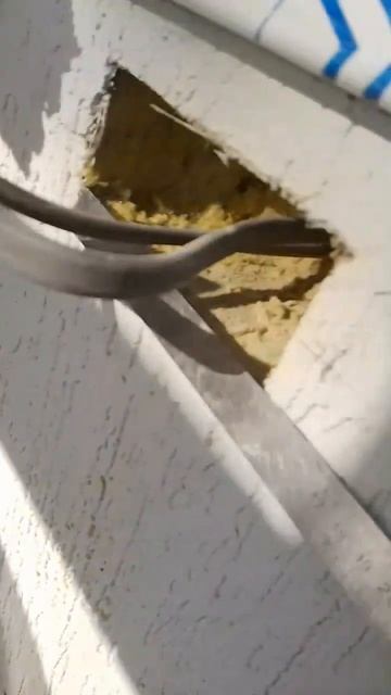 Архитектурный портрет