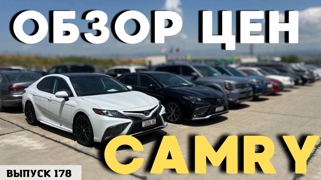 TOYOTA CAMRY . Актуальные цены . Ранок Автопапа . Аукционы США смотреть онлайн