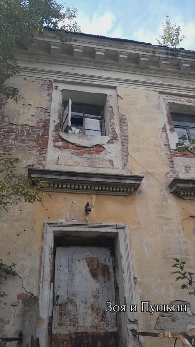 Хранители заброшенной усадьбы Демидовых. смотреть онлайн