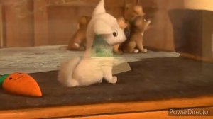 Вольт и Варежка клип Thunder