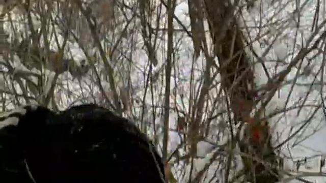 Выжить любой ценой по-русски (часть 1) смотреть онлайн