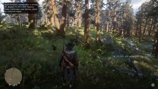 Стрим Red Dead Redemption 2 онлайн, RDO