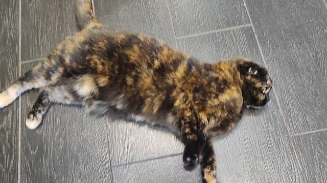 Наша лялька сладко спит смотреть онлайн