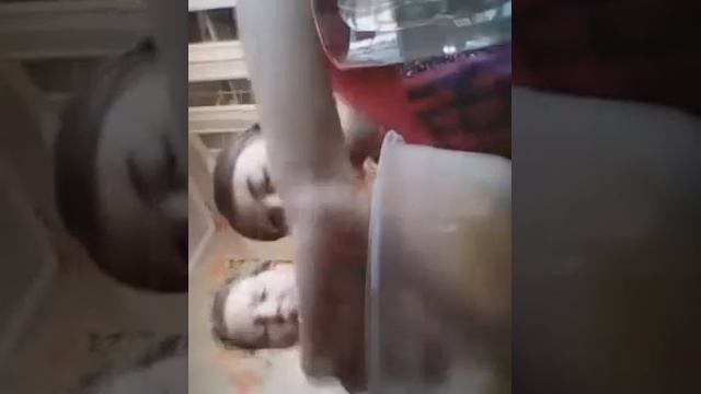 Съели 4 пачки чипсов