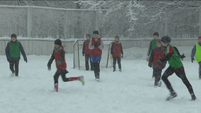 Пробное видео смотреть онлайн