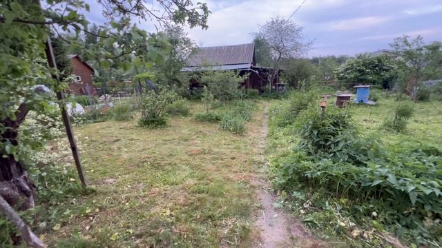 31-05-2025 смотреть онлайн