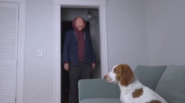 Dogs Figure Out Why John Pork is Calling! Funny Dogs Maymo, Potpie & Indie