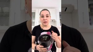 ЧТО ДЕЛАТЬ, ЕСЛИ ЗЕМЛЯ В РАССАДЕ СТАЛА ЗЕЛЕНОЙ?