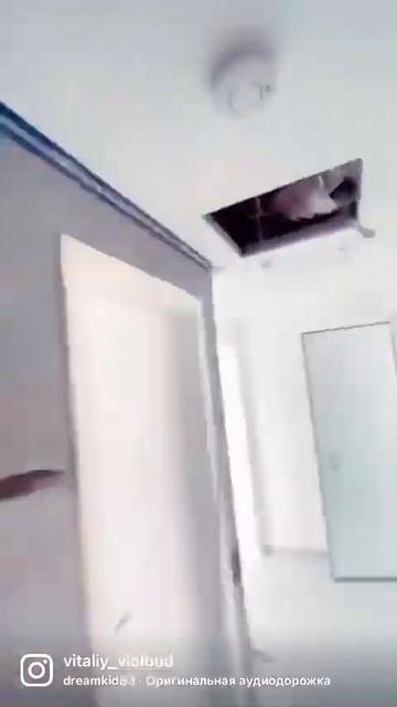 Декоративна штукатурка, ефект бетону у ремонті #shortsvideo