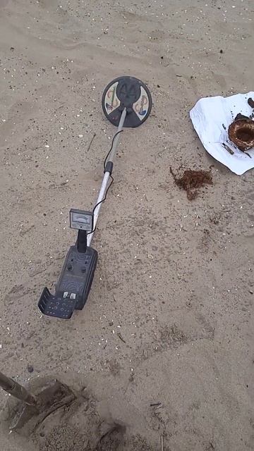Dig Коп пляж Волгоград. металлоискатель. metal detector смотреть онлайн