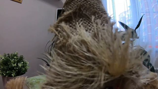 У Ягуси незваный гость смотреть онлайн