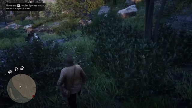 Red Dead Redemption 2 (охота типа за лекарем)