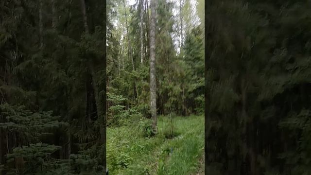 Wenbox F9 .маршрут к озеру Спасское ч1