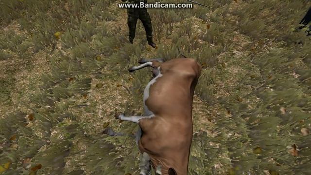 DayZ эйс вентура смотреть онлайн