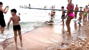 Обзор отеля Sultan Gardens 5* Sharm el Sheikh