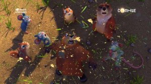 "Реальная белка 2" - на "СОЛНЦЕ"!