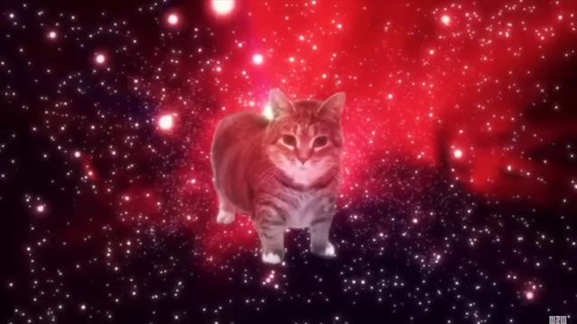 Просто песня кому как OIIAIA OIIAIA