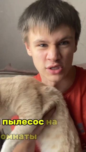 😱Почему коты боятся пылесоса #cat #страх #почему смотреть онлайн