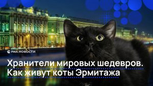 Хранители мировых шедевров. Как живут коты Эрмитажа