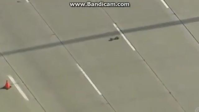 Триллер года!!! Жесть!!! Смотрем всем!!!! Они выживут!!!! смотреть онлайн