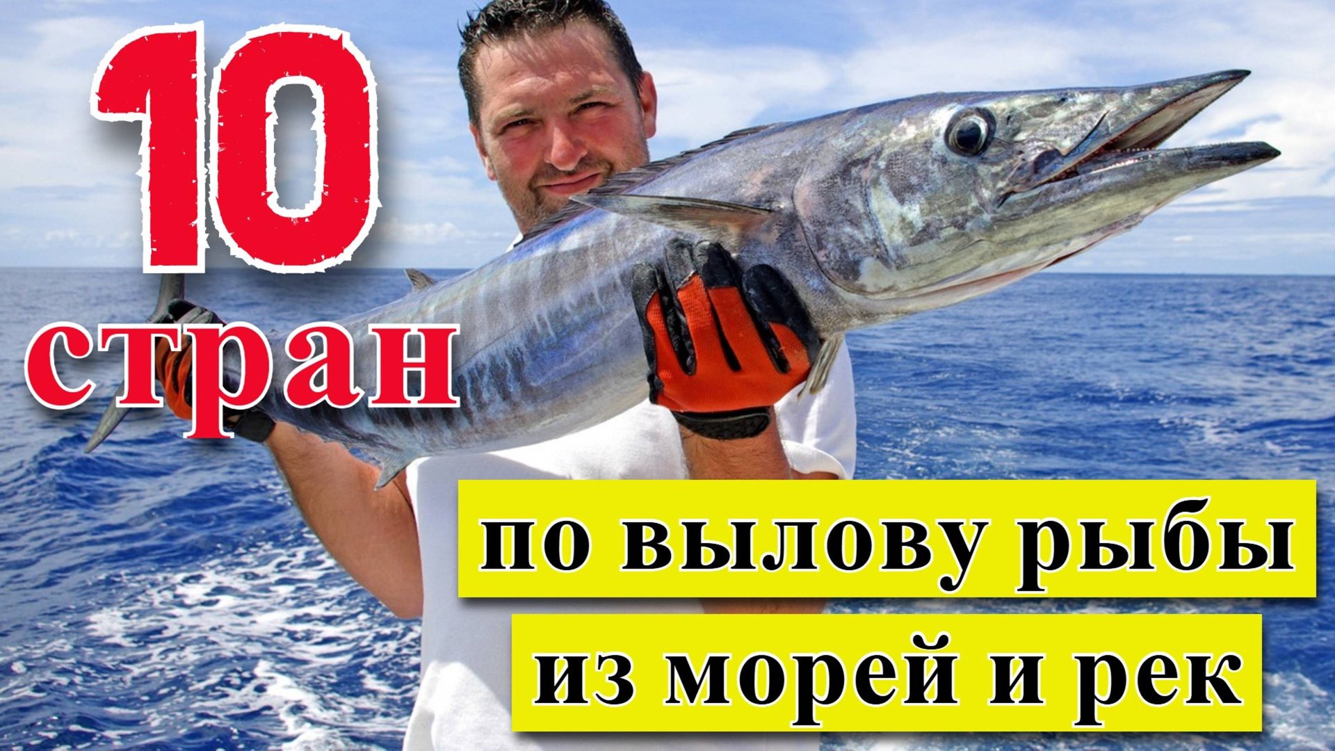 Вылов рыбы: ТОП 10 стран по объемам промышленного рыболовства (1950–2023) смотреть онлайн