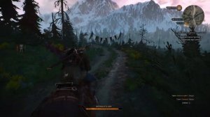 The Witcher 3 Wild Hunt - Грустная история братьев Гроссбарт
