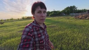 Запланировали одно, а надо другое. Заготовка сена. Жизнь простых людей в деревне