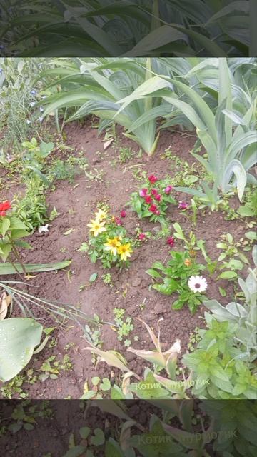 Всём хорошего настроения🙏💕