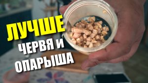 ЧЕРВЬ и ОПАРЫШ отдыхают перед такой насадкой. ВЫШЛЕМ если угадаешь