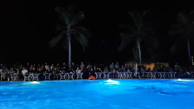 Water Balet,  Part 3 Водное представление, часть 3