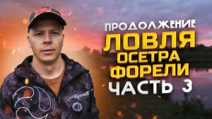 Как ловить пассивную форель на силикон? Ловля Осетра, суточная сессия на безлимите#Fishing26