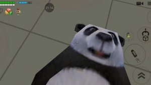 Как найти панду в чикен Ган 🐼